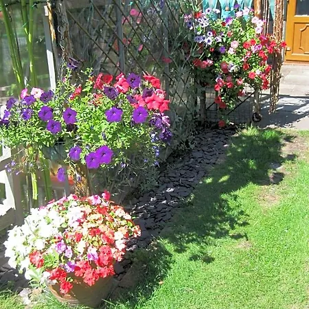 Perfect For Petersfield B&B-3